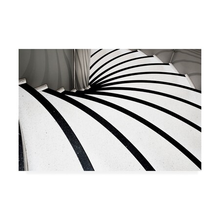 Trademark Fine Art Linda Wride 'Zebra Steps' Canvas Art, 22x32 1X08767-C2232GG